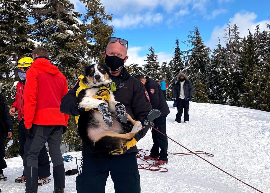 A DNVFRS firefighter holds up a dog while training on a mountain with North Shore Rescue.