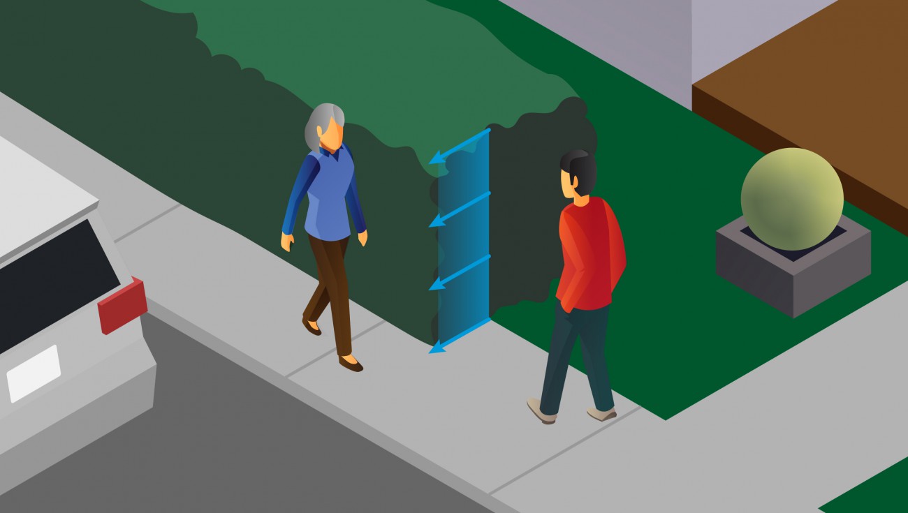 A graphic depicting two pedestrians walking towards each other.  An overgrown hedge has restricted two-way sidewalk access.