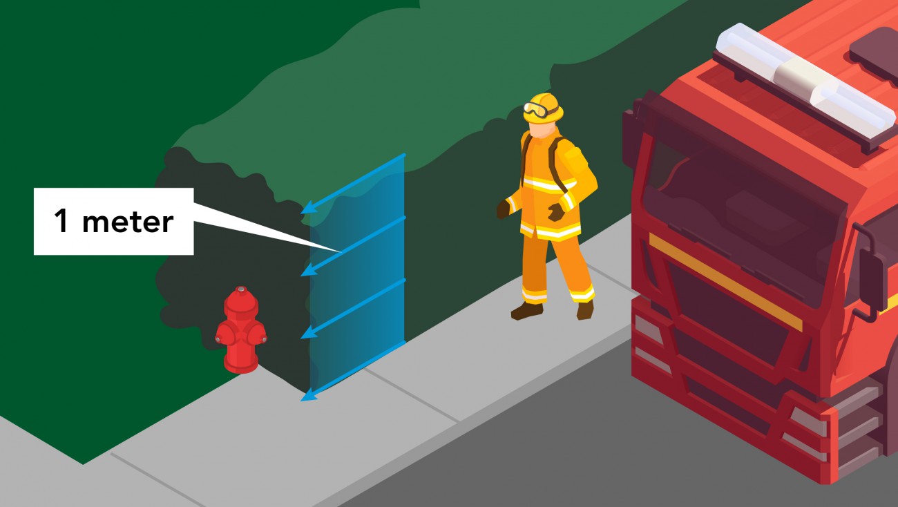 A graphic depicting an overgrown hedge obstructing access to a fire hydrant as a firefighter approaches on the sidewalk with a fire truck parked in the foreground. Hedges should be trimmed back 1 metre in every direction from fire hydrants. 