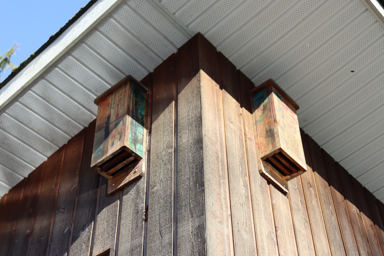 A close up of two rectangular-shaped wooden bat boxes attached to the upper portion of a wood-paneled utility building. 