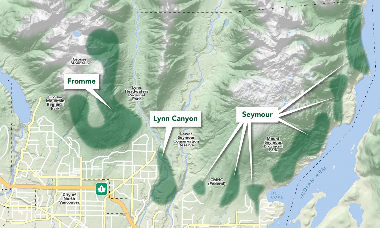 A map of the trail strategy study area, that includes Fromme, Lynn Canyon and Seymour.