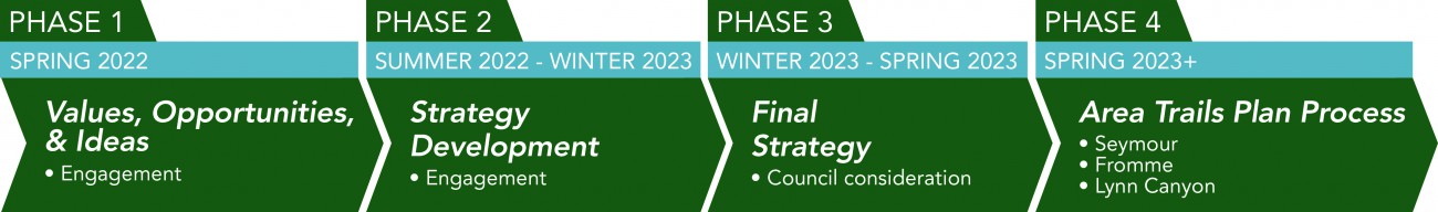 A timeline for the DNV trail strategy phases.