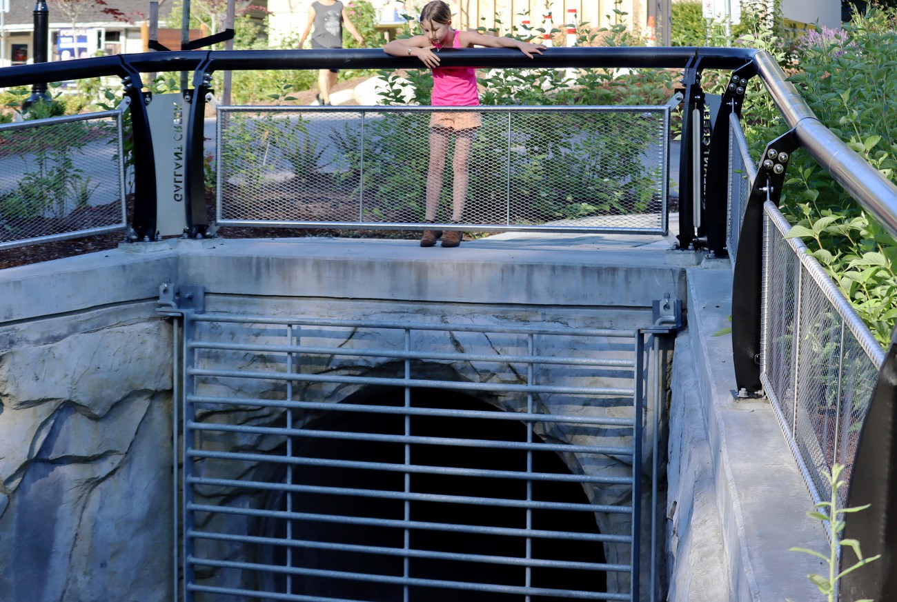 A young girl stands on a creek-viewing platform looking down for fish on a bright summer day.