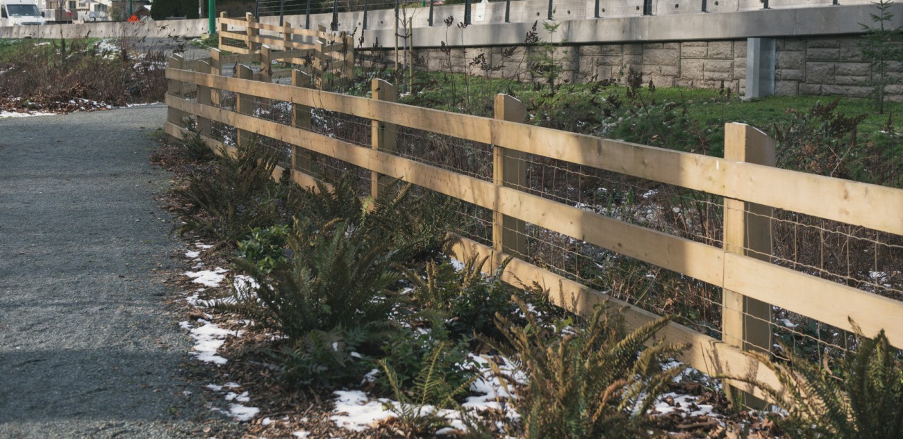 A photo of riparian zone protective fencing in Bridgman Park