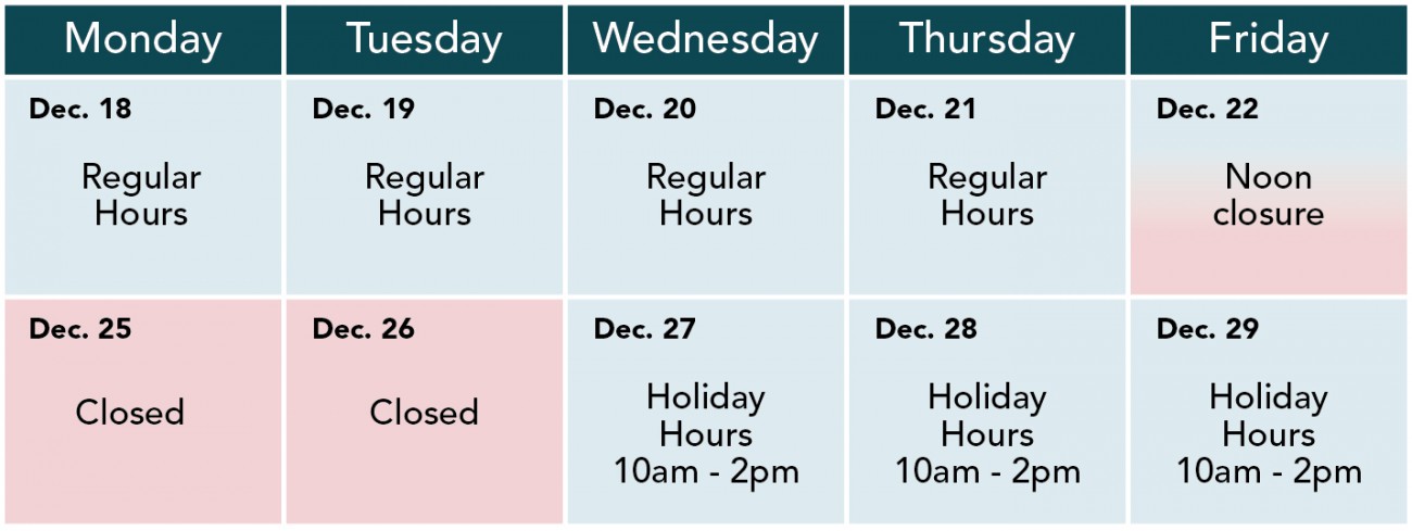 District Hall holiday hours: Dec 18-Dec 21 (regular), Dec 22 (noon closure), Dec 25 (closed), Dec 26 (closed), Dec 27-Dec 29 (10am-2pm)