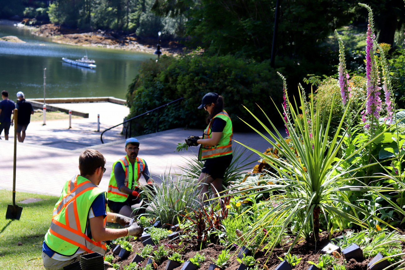 Three Parks workers in high-visibility vests plant a flower garden at an oceanside park. The ocean and a moored boat are in the background.