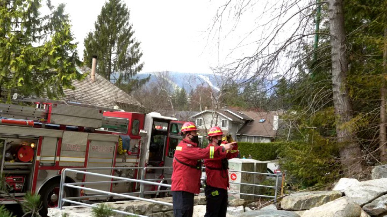Two firefighters wearing masks stand pointing towards the forest.