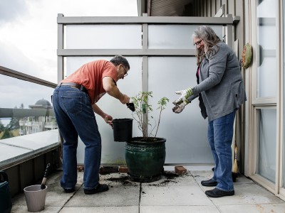 A man and woman plant a shrub in a large pot on their patio.