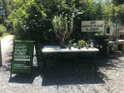 Coast Salish Plant Nursery (Wild Bird Trust of BC): Heritage Advocacy