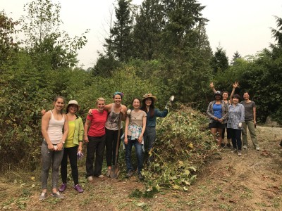 Volunteers removing invasive plants and planting native shrubs