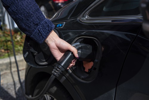 A closeup of a hand holding an electric car charger.
