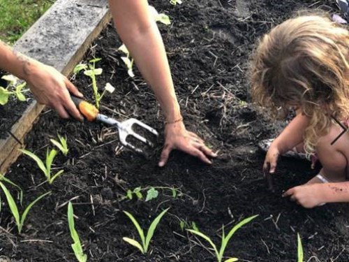 Photo of a mother and daughter gardening. 