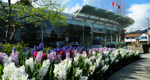 Exterior of District Hall with flowers blooming in front