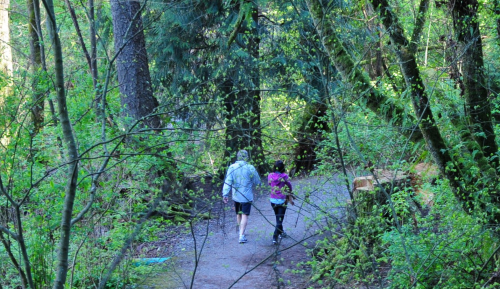 Couple walking along a forest path
