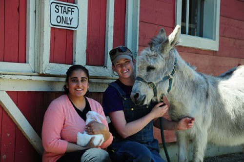 Staff with animals at Maplewood Farm