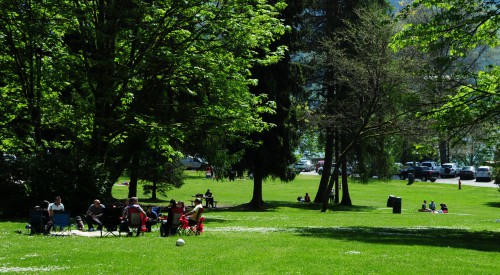 A family picnic on the grass in a park