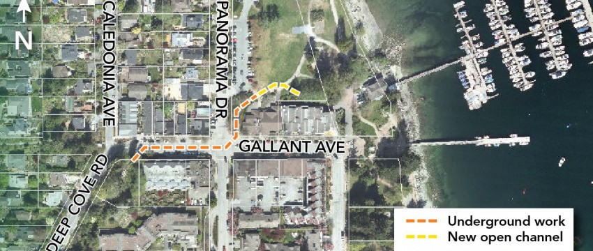 A map of Gallant Avenue in Deep Cove.